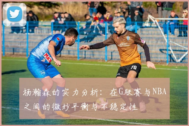 杨瀚森的实力分析：在G联赛与NBA之间的微妙平衡与不稳定性